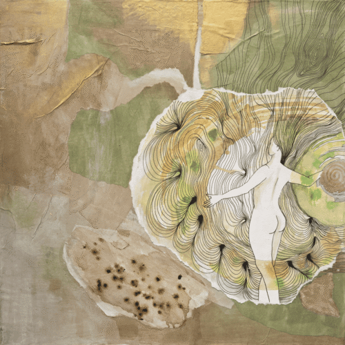 פותחת תדרים 1 - מקור